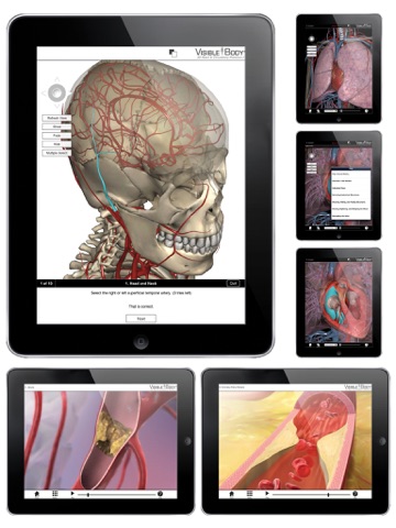 3D Heart & Circulatory Premium 2 (3D Hart & Bloedcirculatie Premium 2 voor Springer) screenshot 3