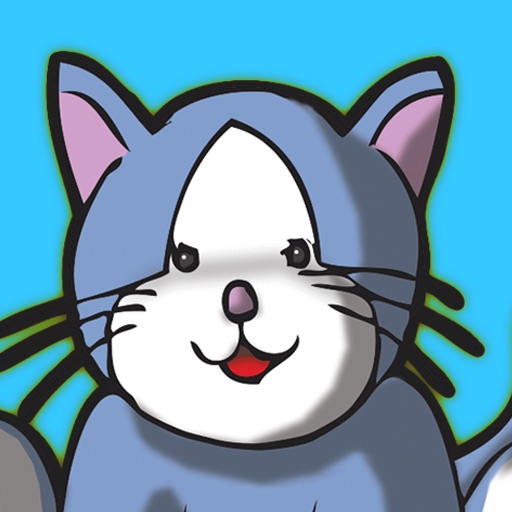 Gato Memo icon