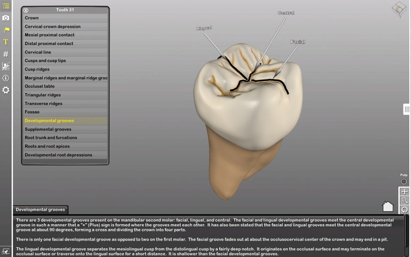 Perfect Tooth thumbnail 3