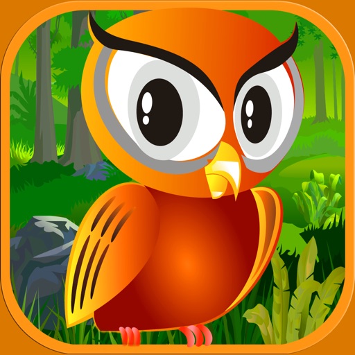 Cute Baby Owl Glider - Epic Jungle Survival Challenge