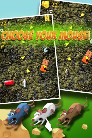Angry Mouse Maze Scramble - Crazy Food Run on Big Family Farm Country screenshot 2