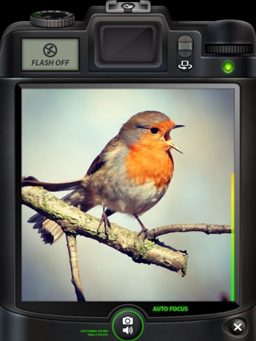 Camera SX Pro for iPad : Photo with Sound screenshot 4