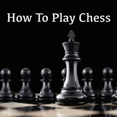 Activities of How To Play Chess: Beginner To Master