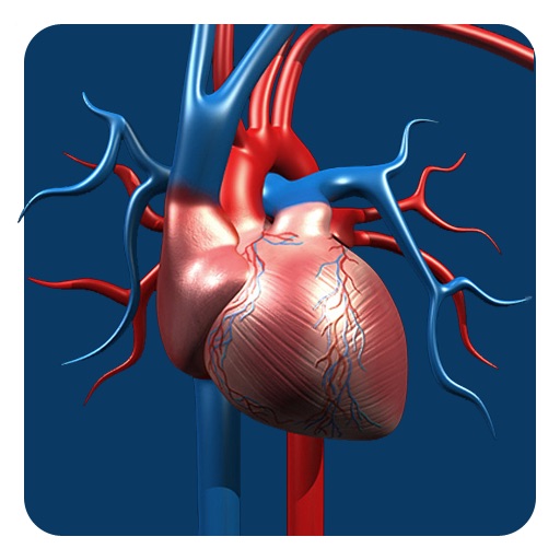 Artery System: CardioVascular icon