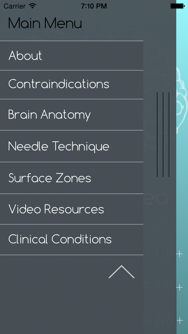 Scalp Acupuncture Reference Screenshot 5