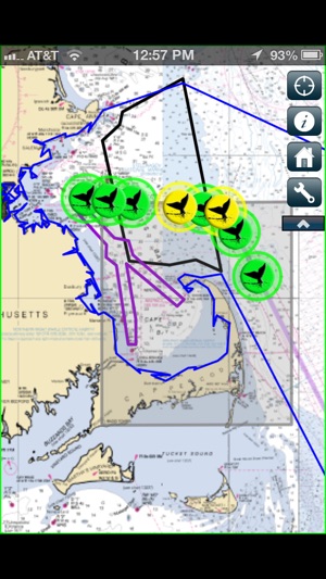 Whale Alert - Ship Strike Reduction for Right Whales(圖1)-速報App