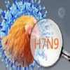 H7N9 Prevention