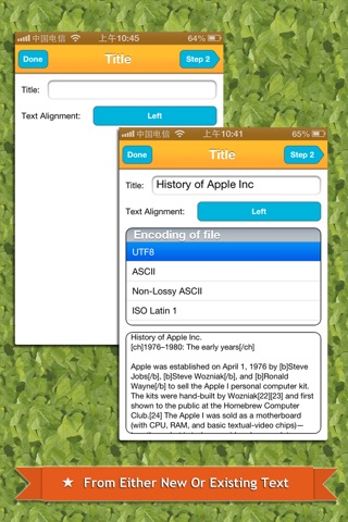Txt2Book - Create epub book from text and read in iBooks or Stanza screenshot 2
