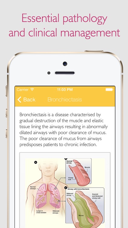 OSCE Crash Course: Clinical Examination & Skills