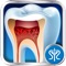 Surgery Squad's Virtual Root Canal Procedure