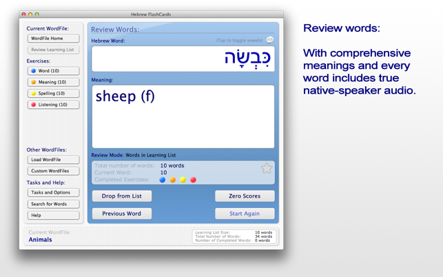 Hebrew FlashCards(圖2)-速報App