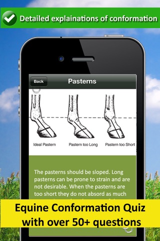 Equine Conformation - Horsemanship Lessons for Equestrians screenshot 2