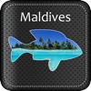 Maldives Quiz Game