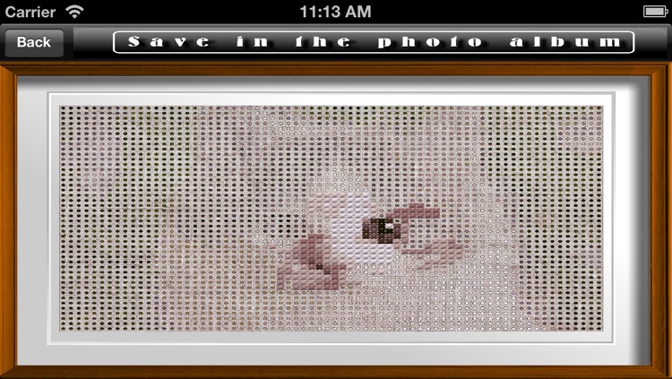 Cross Stitching Cats screenshot-3