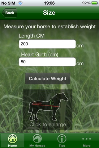 horseRATION_FREE screenshot 2