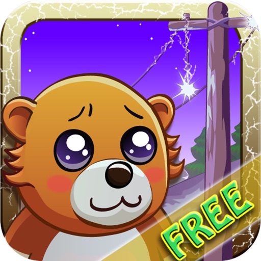 Loser Bear Free iOS App