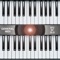 "midi keyboard" is a MIDI EXPANDER for professional musicians or students including: