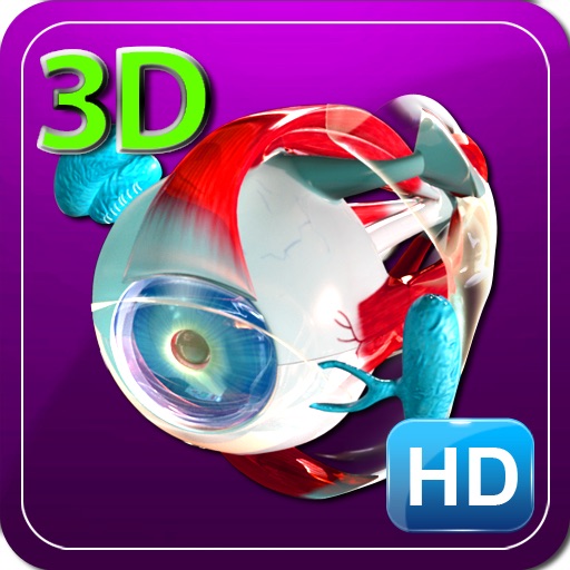 3D Human Eyes HD