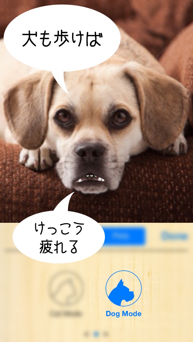 おしゃべりどうぶつ3D screenshot1