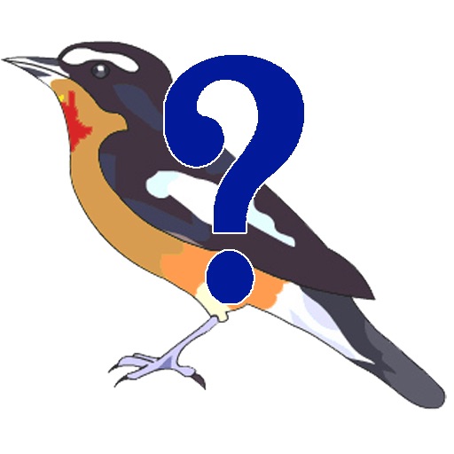 Name_the_Bird icon