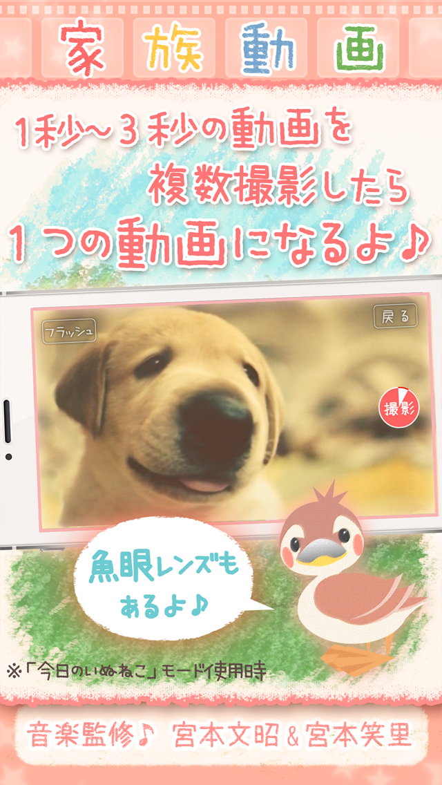 家族動画 無料でファミリー動画やペット動画が作れる！のおすすめ画像3