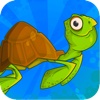 Turtle Dive Dash