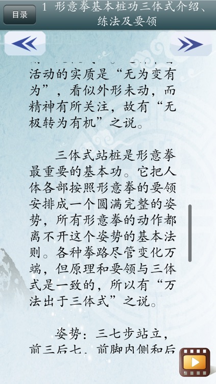 形意拳 - 武术名家讲解示范