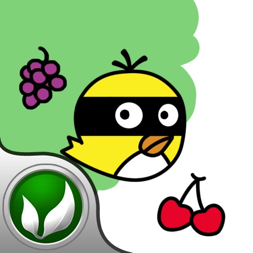 Fruit Bird