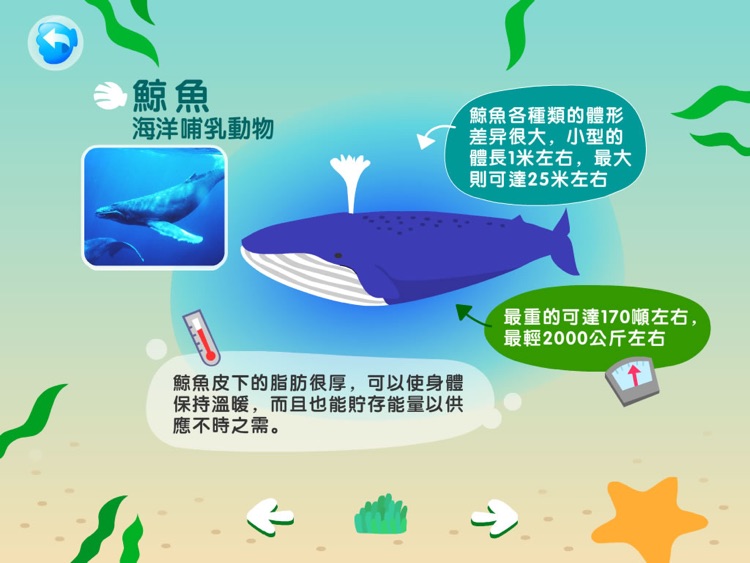 The Little Mermaid(Cantonese)