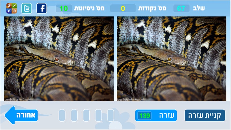 מצא את ההבדל