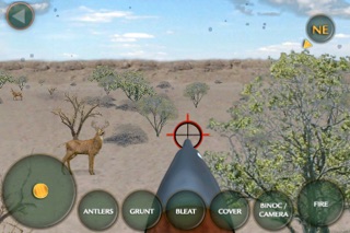 Real Deer Hunting screenshot1