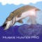 This is an application designed specifically for Muskie fishing, to maximize the experience for any angler from beginner to expert