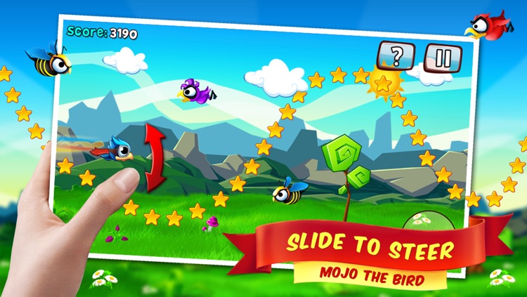 Bird Mania