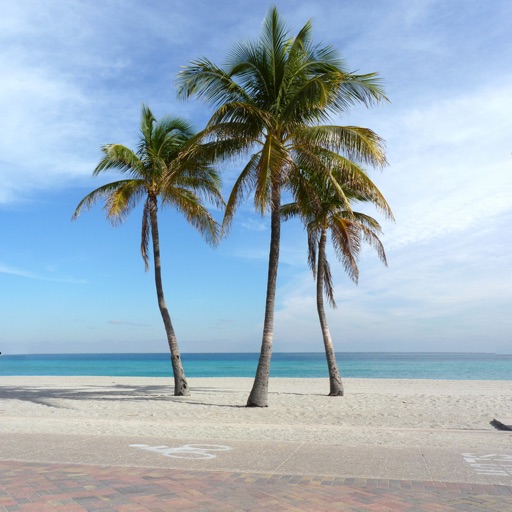 Boca Raton & Delray Beach Florida Travel Guide icon