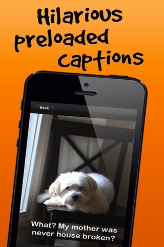 Cap Ninja - picture captions for neat hipster photos and videos screenshot 4
