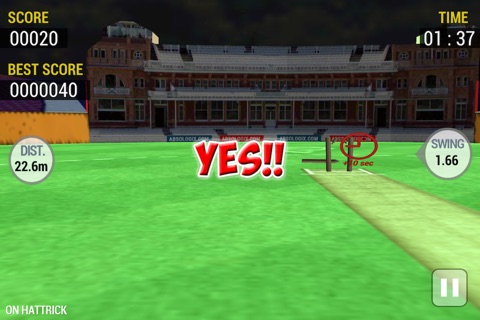 Cricket Run Out : The Final Shoot screenshot 3