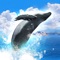 Tour beautiful seas all over the world and take photos of whales and dolphins