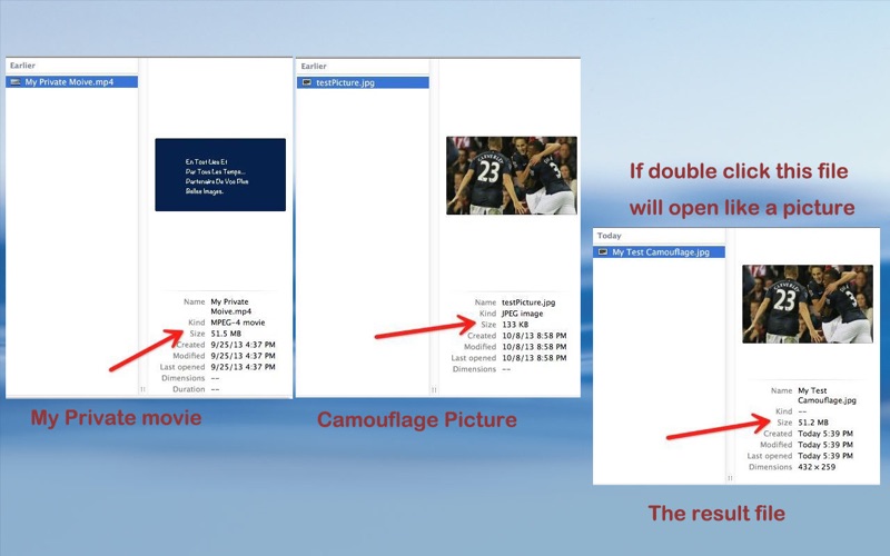File Camouflage Free thumbnail 3