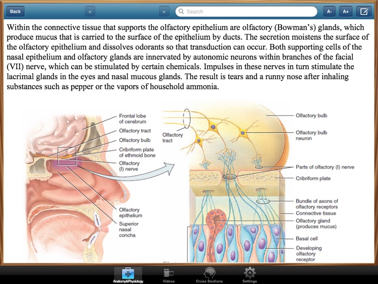 Anatomy and Physiology screenshot-4