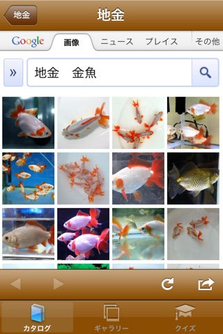 日本金魚図鑑 -Japanese goldfish- screenshot 4