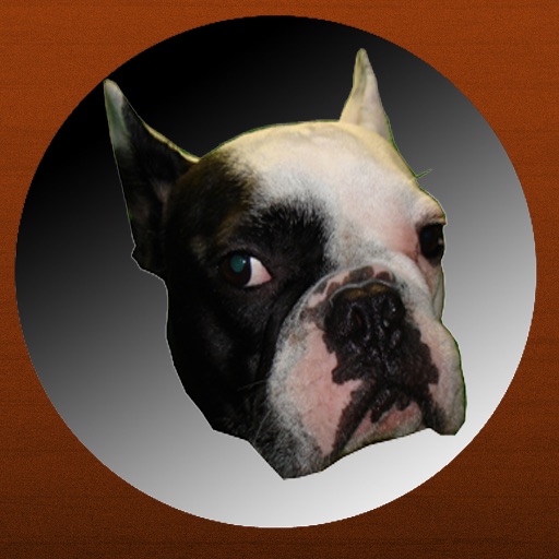 Roscoe's Mug icon