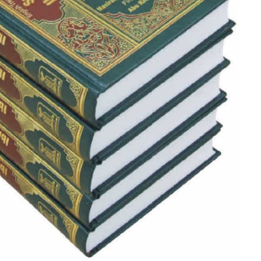 Set of 4 Hadith Books ( Sahih Bukhari & Muslim Authentic book of Islam ) ( Ramadan Islamic Apps ) icon
