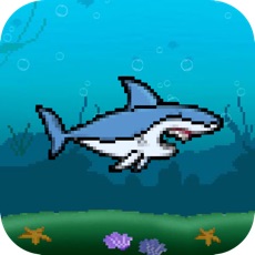 Activities of Flying Jumpy Shark - Flapping Bird Fish Wings Flyer