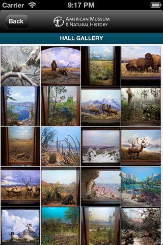 Hall of North American Mammals screenshot 3