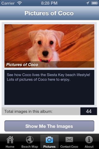 Coco the Siesta Key Beach Dog screenshot 4