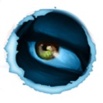 Cognition Lite