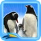 SeaWorld Orlando’s OFFICIAL app for Antarctica: Empire of the Penguin