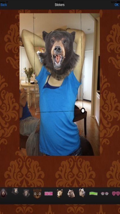 Bearify™-Sticker and Wallpaper App in One! Bear Head Photo & Sticker App!