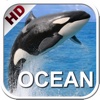 Kids Ocean Encyclopedia. Book and video for children. Sea life.