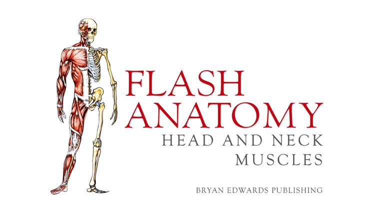 Flash Anatomy Head & Neck Muscles